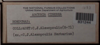 Image Associated With the Occurence